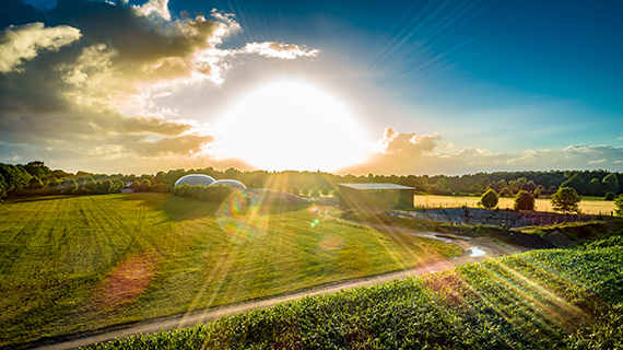 Sonnenaufgang über Feld