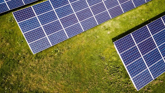 PV-Module auf Wiese