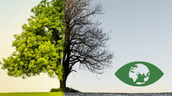 Wissenschaftler wollen mehr politischen Ehrgeiz beim Klimaschutzplan.