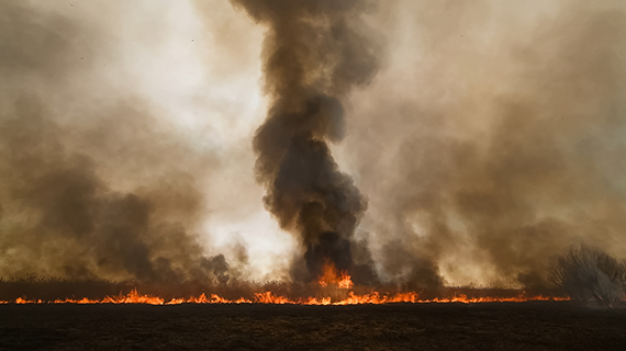 Symbol für den Klimawandel: Feuer und Rauch