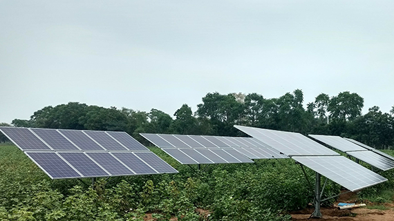Agri-PV hat noch viel Potenzial in der EU.