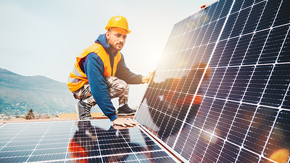 Erneuerbare Energien sind weltweit weiterhin im Aufwind