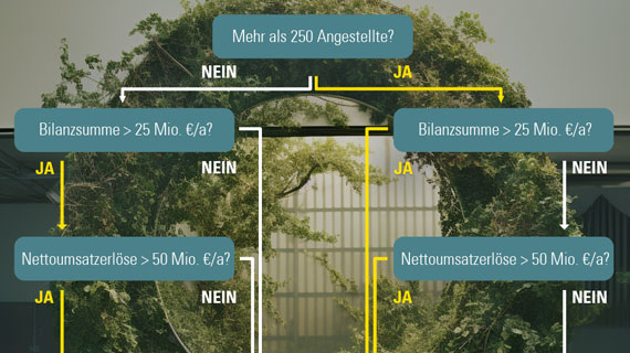 Nachhaltigkeit - CSRD Entscheidungs-Chart